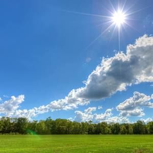 Meet your Posher, Greg